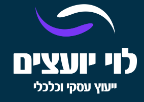 תוכנית עסקית מקצועית ומפורטת "levy finance"